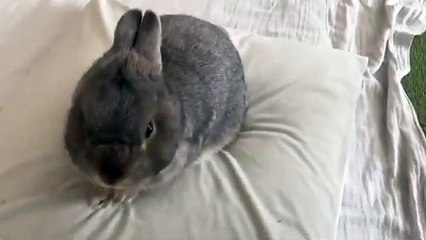 Justine Jakobs - Getting Down To Business