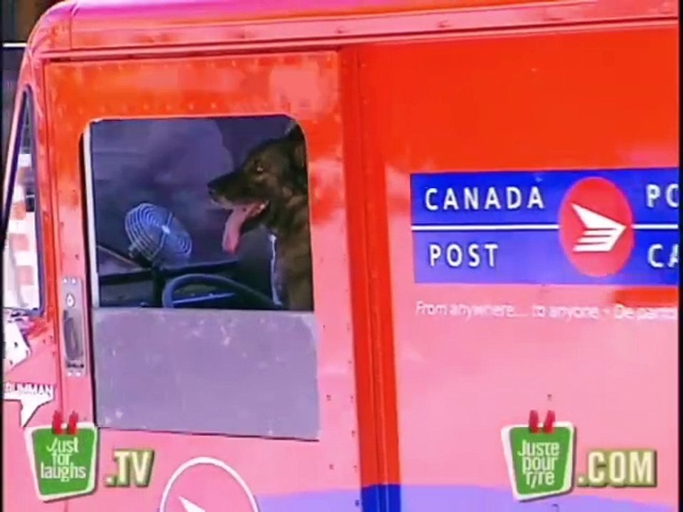 Jim Henson Dogs Xexuson - Real Life Dog Segment - One Said Old Hound Dog Bark Anthem