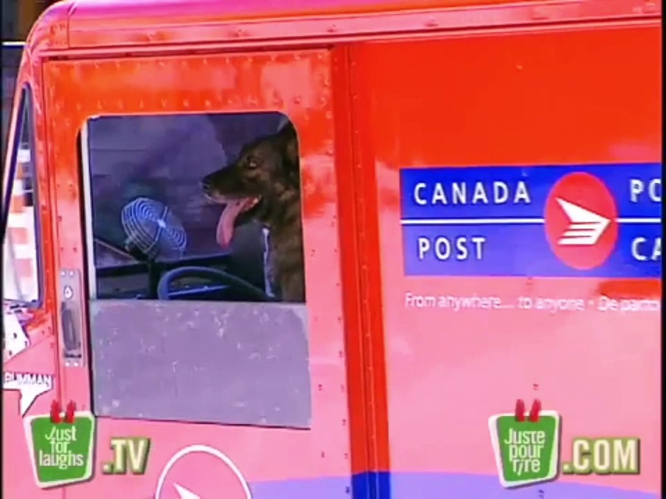 Jim Henson Dogs Xexuson - Real Life Dog Segment - Shepard Like a Runaway