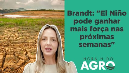 Pico do El Niño vai ocorrer neste fim de ano; clima pode ficar pior? | HORA H DO AGRO