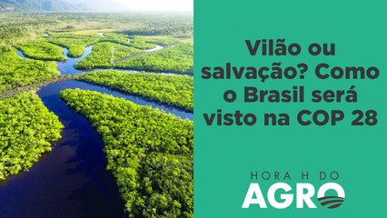 Mundo precisará de 'novo Brasil' em área plantada para suprir demanda por alimento | HORA H DO AGRO