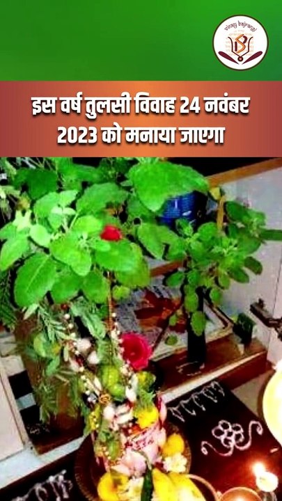 तुलसी विवाह कब है 23 या 24 नवंबर _ Tulsi Vivah 2023 _ Dev Uthani Ekadashi _ आज है तुलसी विवाह