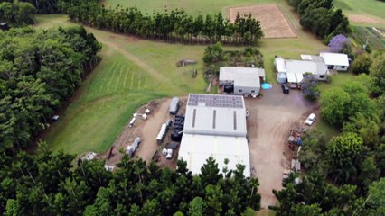 Father-son duo discover challenges of making tea