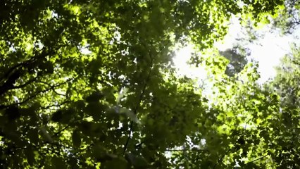 BOYNE FALLS  Exclusive Full Thriller Action Movie Premiere  English HD 2023