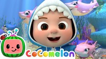 Baby Shark Dance Song! - @CoComelon & Kids Songs - Learning Videos For Toddlers