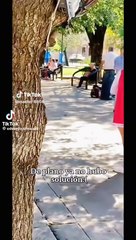 Joven rompe ramo de rosas tras ser rechazado por una porrista