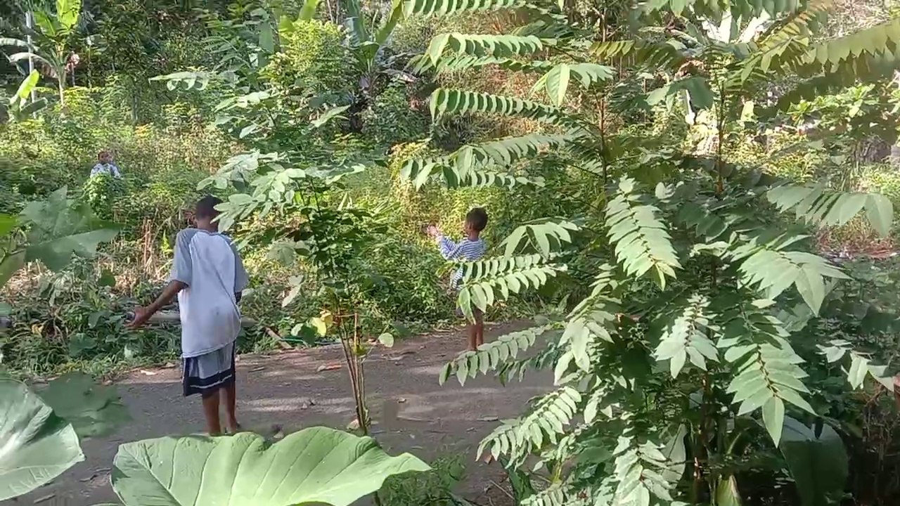 Main meriam jelang Natal