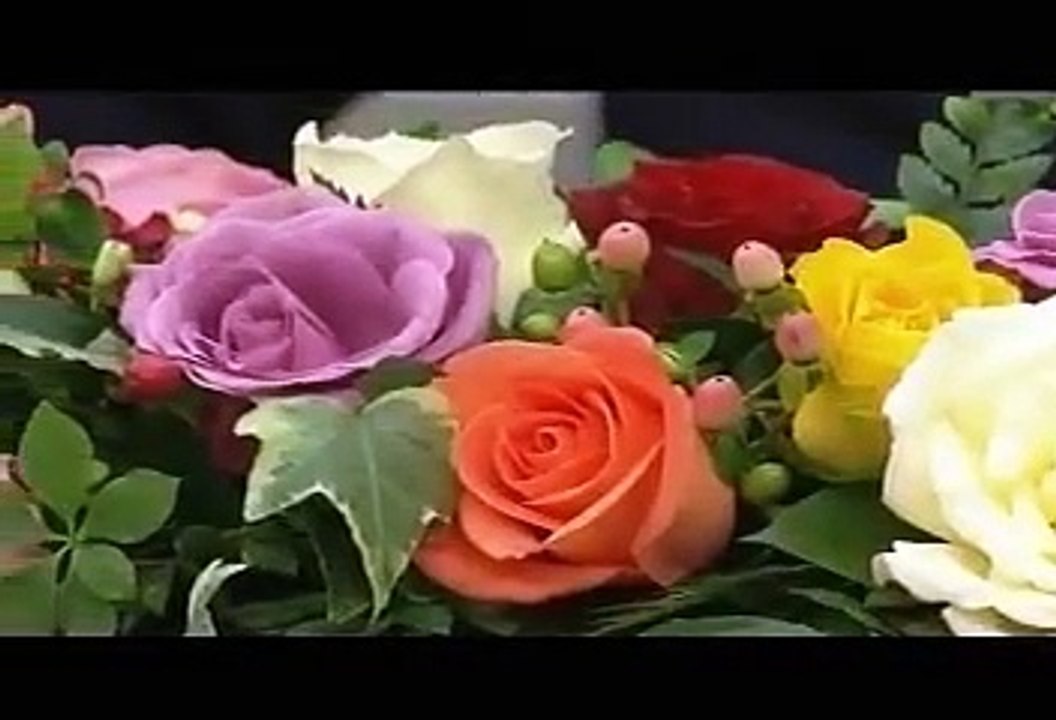 デイリーハイライト ジャンルカなう #31 20100712