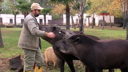KRAVAT TUTKUNU BEDİR AKBULUT, EVİNİN ÖNÜNE KENDİ MEZARINI YAPTIRDI