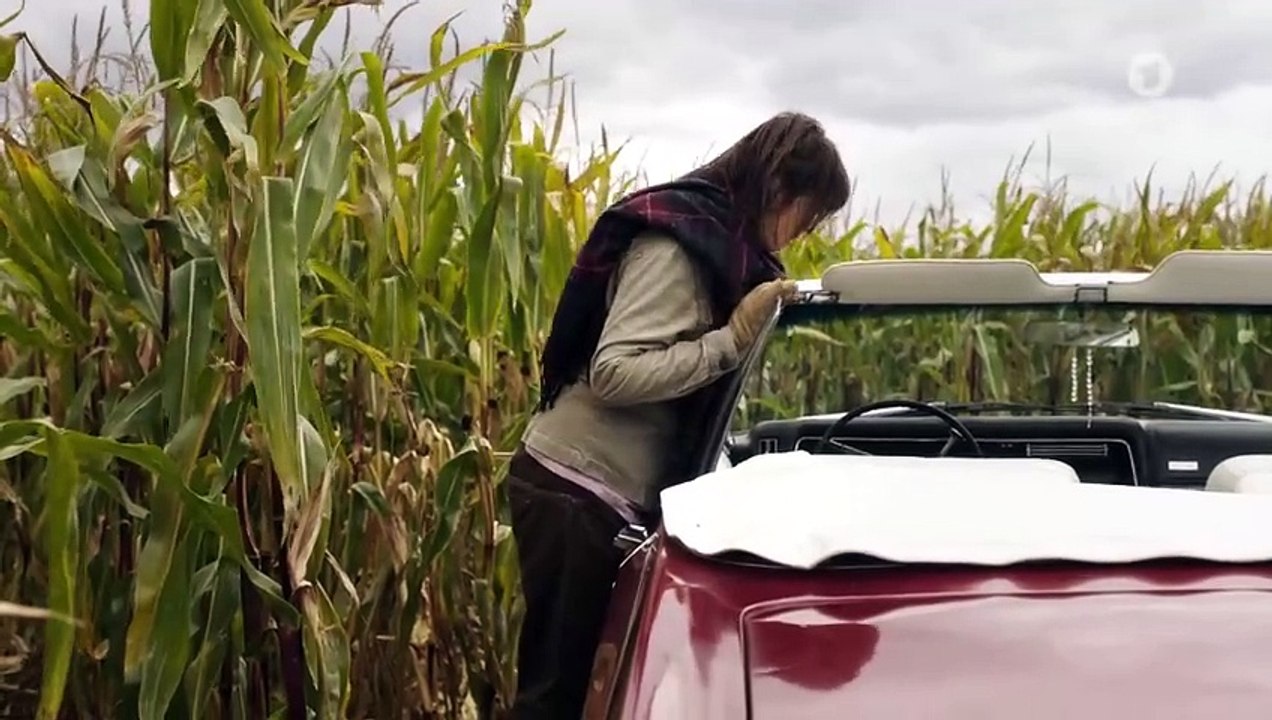 Die Büffel sind los (Ganzer Film Deutsch 2016)