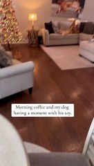 Perrito golden retriever conmueve por la forma en que juega con su peluche