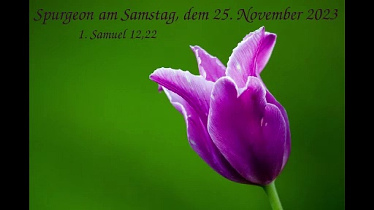 Spurgeon am Samstag, dem 25. November 2023