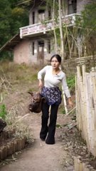 Today I prepared a delicious meal from the meat of the Pig head. I have made this cooking recipe at home.