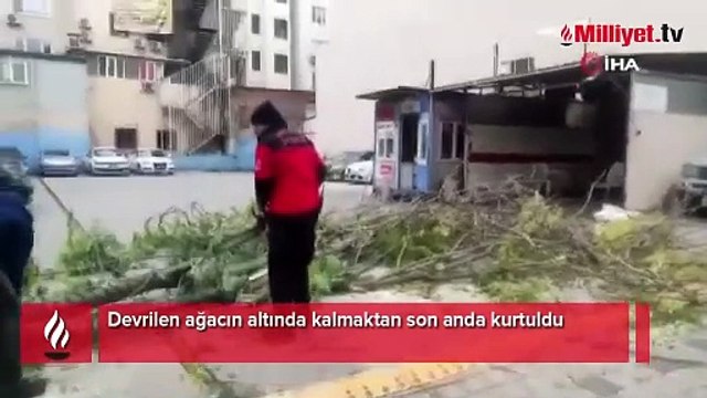 Devrilen ağacın altında kalmaktan son anda kurtuldu