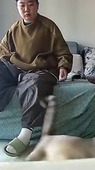 Very rude with cats so don't frown, the cat just doesn't like seeing you