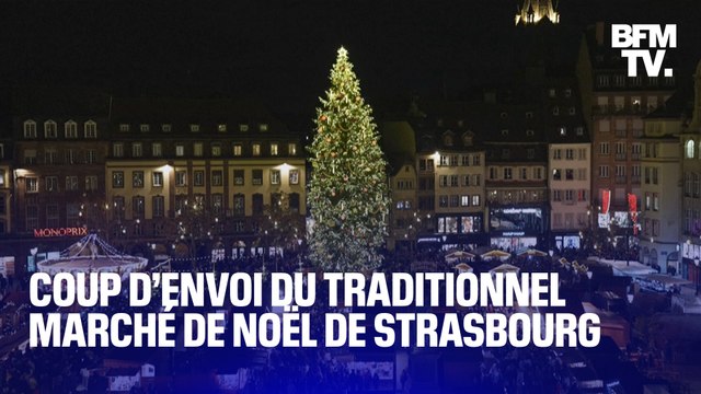C’est la magie de Noël L’illumination du sapin de Noël de Strasbourg marque le coup d’envoi du traditionnel marché de Noël