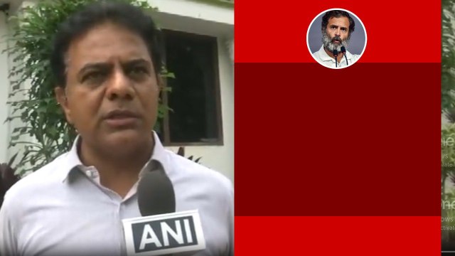 Rahul Gandhi ఒక్కరోజైనా ఉద్యోగం చేశారా..? Telangana Elections | Telugu Oneindia