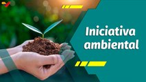Punto Verde | Iniciativa medio ambiental
