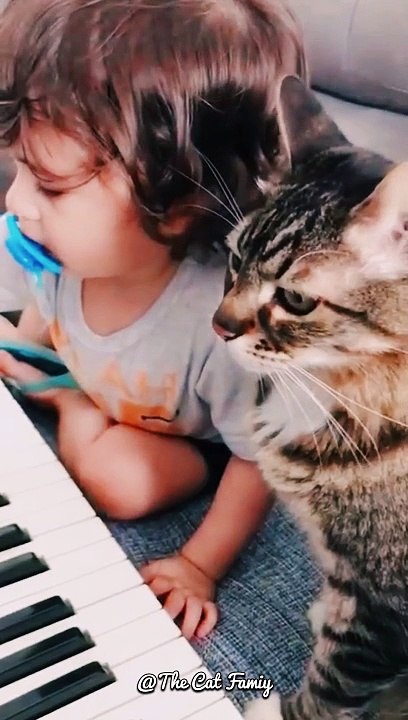 A child is teaching a cat to play the piano | Cute Kitten | Cute Cat Videos #shorts