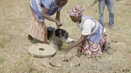 Refugees plant trees to combat desertification in Cameroon