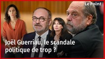 Joël Guerriau, le scandale politique de trop ?