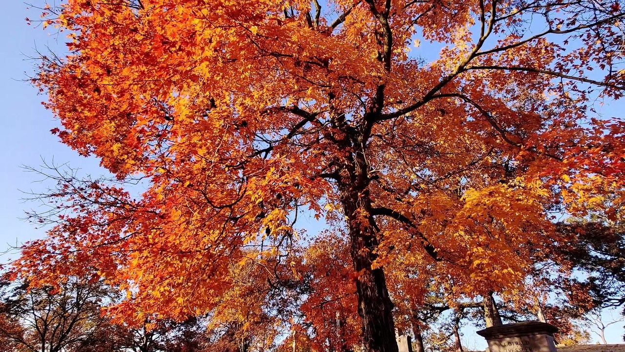 Springfield Ohio Fall Colors at the Ferncliff Cemetery and Arboretum