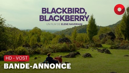 BLACKBIRD, BLACKBERRY de Elene Naveriani avec Eka Chavleishvili, Teimuraz Chinchinadze, Lia Abuladze : bande-annonce [HD-VOST] | 13 décembre 2023 en salle