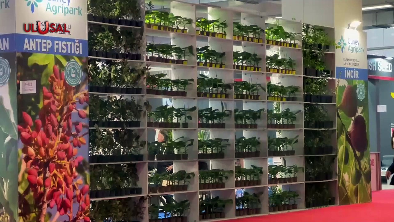 Dünyanın En Büyük Örtü Altı Tarım Fuarı