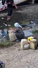 Şırnak’ta kaza yapan tankerden sızan akaryakıtı ziyan olmasın diye toplayan vatandaşlar 