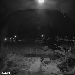 Elderly Neighbor Asks For More Visitors