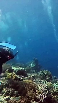 7.2 şiddetindeki deprem okyanus zemininde nasıl gözükür? Endonezya açıklarında gerçekleşen dalma-batma depremi ve sonu malum tsunami