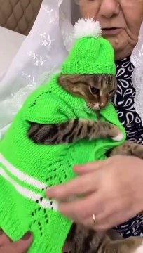 Kedisini kışa hazırlayan tonton teyze ve tarzıyla kendine hayran bırakan kedi