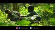 Parundhaaguthu Oor Kuruvi - Official Trailer