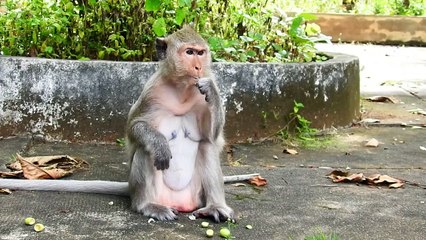 Cutie Baby Monika Play Around Mother Malika Look Seems Really Actives