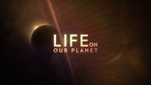 Life on Our Planet ｜ Behind The Scenes ｜ The Battle for Land ｜ Netflix [ENG SUB]