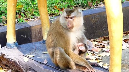 Delayed Developmental Baby Looks So Skinny, Sacky Is Impossible To Hug Mother Sarika