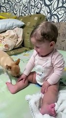 Baby and Dog Play Together