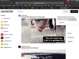 Daily Lotion I’m uploading 2 vids today