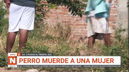Mujer mordida por un perro