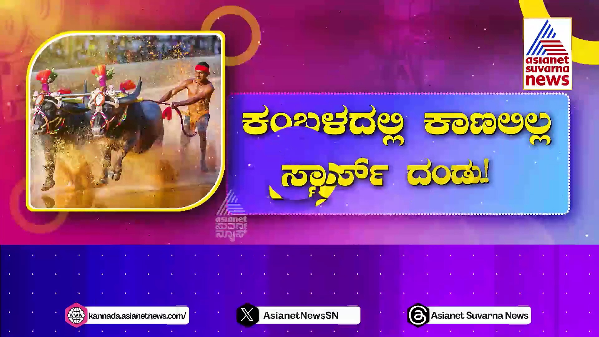 ಸಿಲಿಕಾನ್ ಸಿಟಿಯಲ್ಲಿ ಕೋಣಗಳ ಮೇಳ! ಭರ್ಜರಿಯಾಗಿದೆ ಕರಾವಳಿಯ ಕಂಬಳ..! 