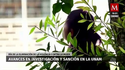 La importancia de contar con una legislación de género en la UNAM