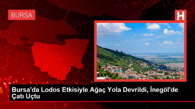 Bursa'da Lodos Etkisiyle Ağaç Yola Devrildi, İnegöl'de Çatı Uçtu
