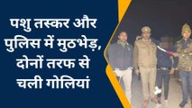 कुशीनगर में पुलिस मुठभेड़! पशु तस्कर हुआ लंगड़ा