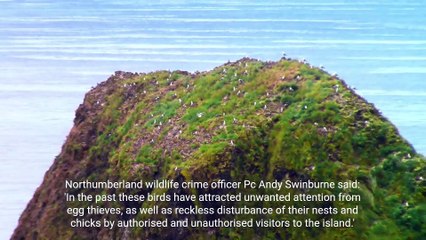 Wildlife Conservation