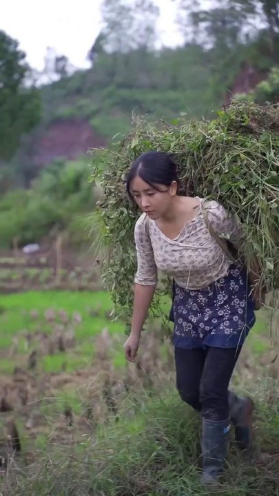 Today I plucked bottle gourd from the farm and after coming home made a very tasty recipe.
