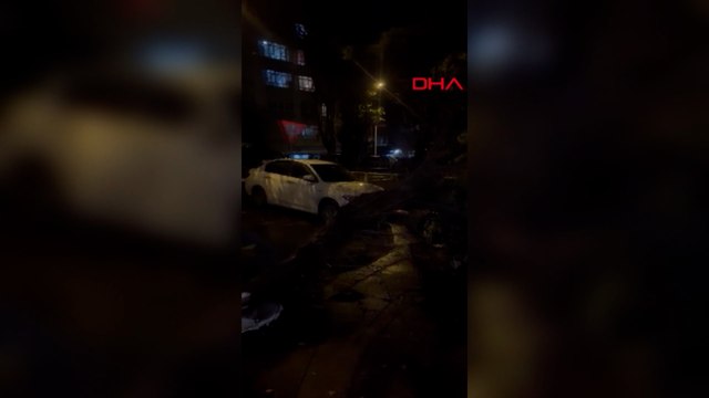 Ankara'da kuvvetli rüzgarda devrilen ağaç, otomobilin üzerine düştü
