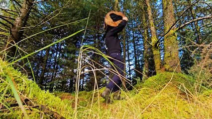 STEAK FRIES, incredible jucy Recipie you will fall in love with ( ASMR cooking)