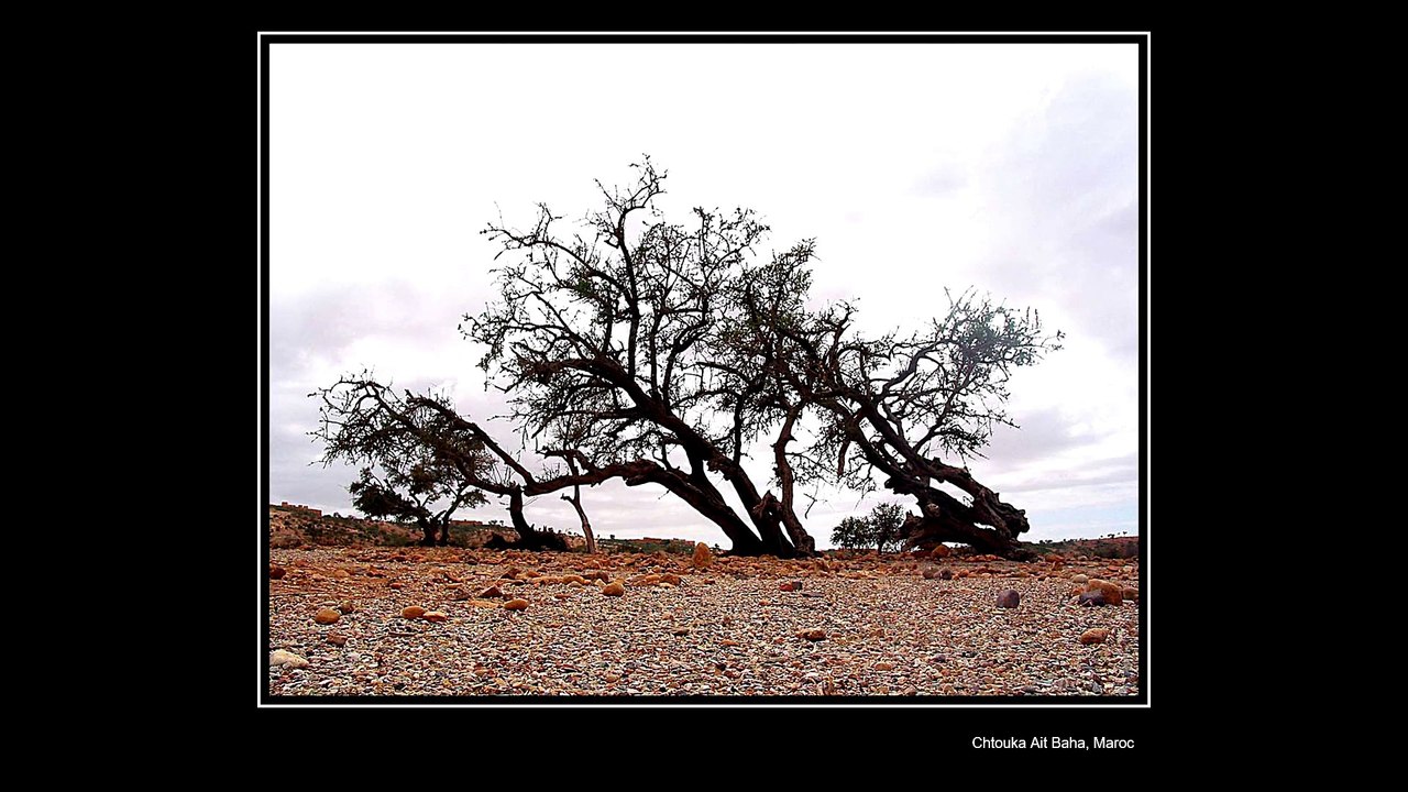 deserts-benoit