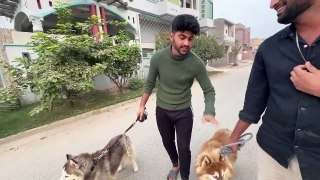 Aj Sb Dogs Ko Bahir Le Aiy Or Race Bhi Lgwai