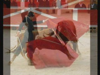 Thomas Saintes Maries